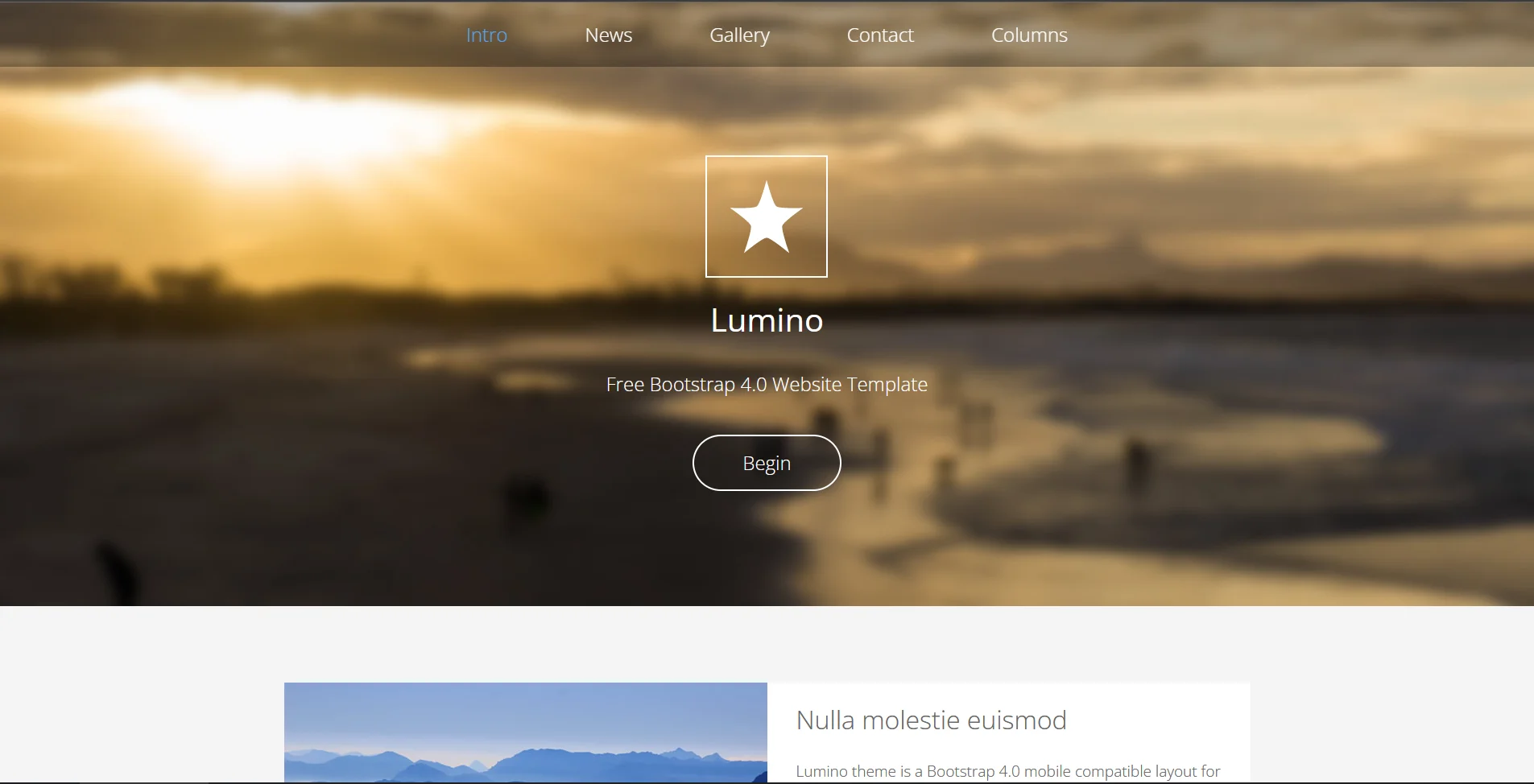 immagine template BootstrapMade
